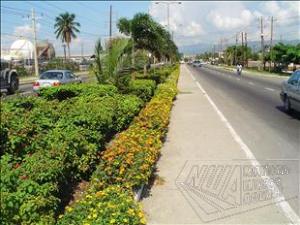 marcus garvey drive